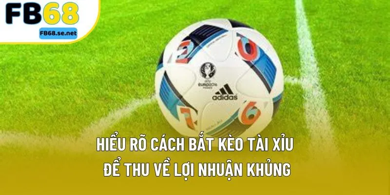 Hiểu rõ cách bắt kèo tài xỉu để thu về lợi nhuận khủng