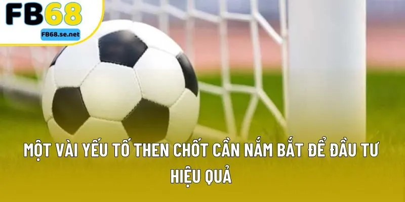 Một vài yếu tố then chốt cần nắm bắt để đầu tư hiệu quả Một vài yếu tố then chốt cần nắm bắt để đầu tư hiệu quả