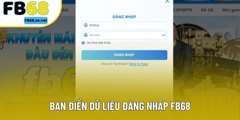 Bạn điền dữ liệu đăng nhập FB68