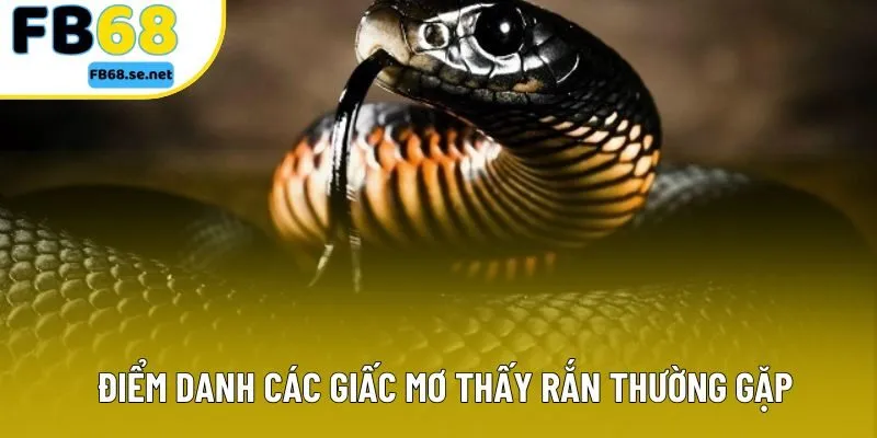 Điểm danh các giấc mơ thấy rắn thường gặp