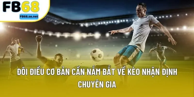 Đôi điều cơ bản cần nắm bắt về kèo nhận định chuyên gia