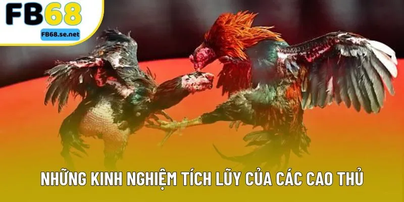 Những kinh nghiệm tích lũy của các cao thủ