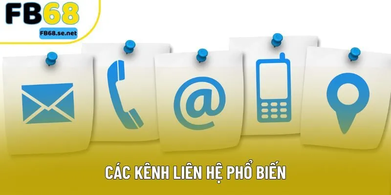 Các kênh liên hệ phổ biến