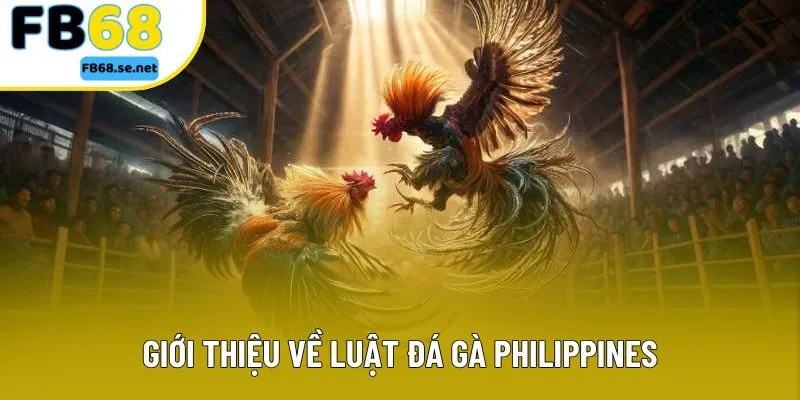 Giới thiệu về luật đá gà Philippines